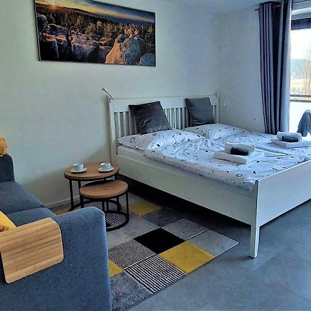 Apartman Na Kraji Lesa Janov nad Nisou Buitenkant foto