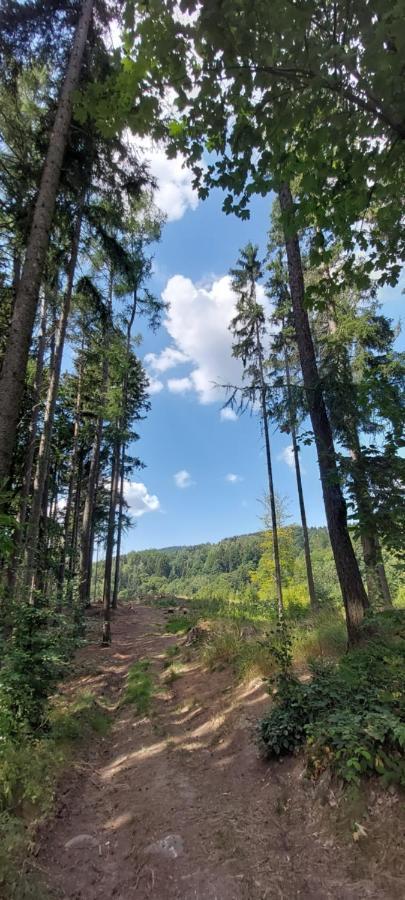 Apartman Na Kraji Lesa Janov nad Nisou Buitenkant foto