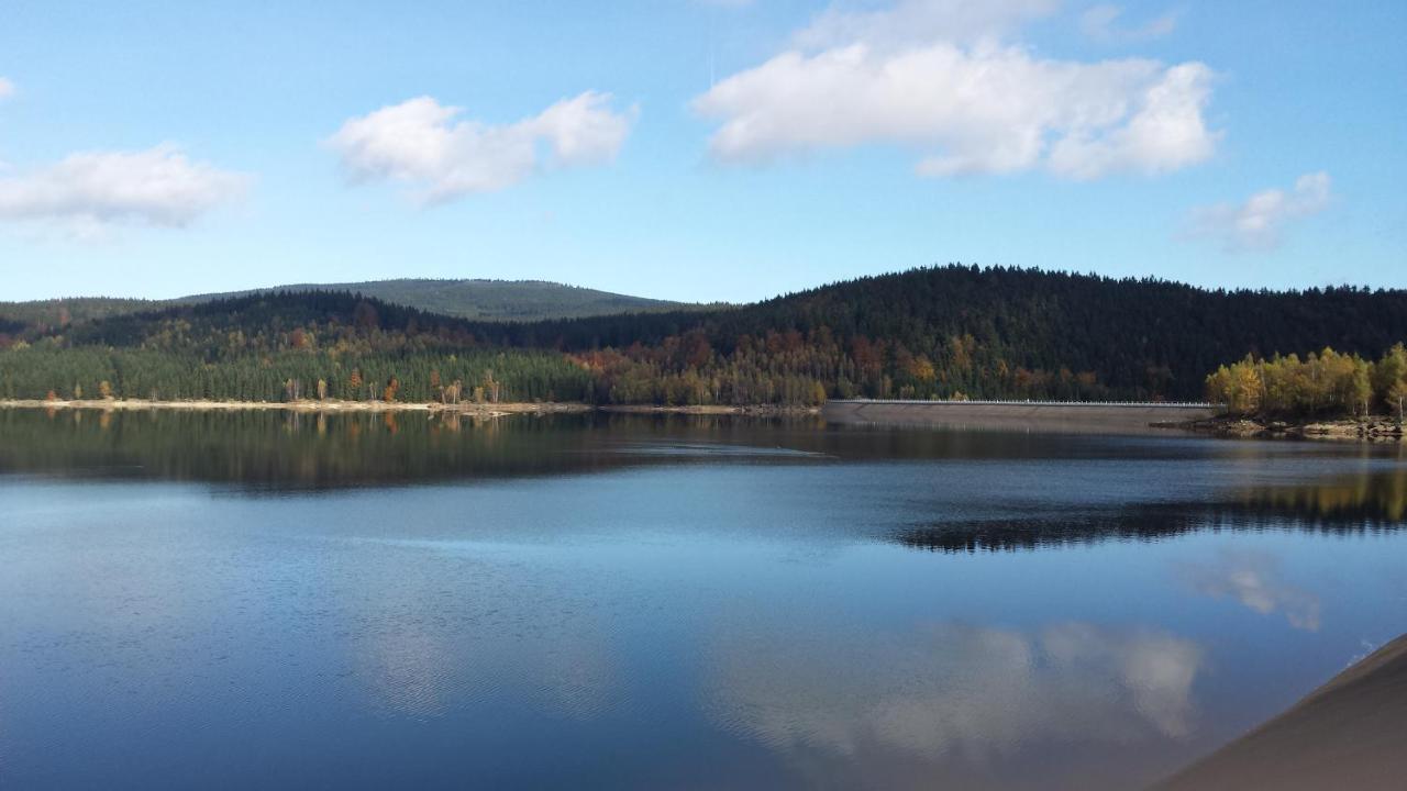 Apartman Na Kraji Lesa Janov nad Nisou Buitenkant foto