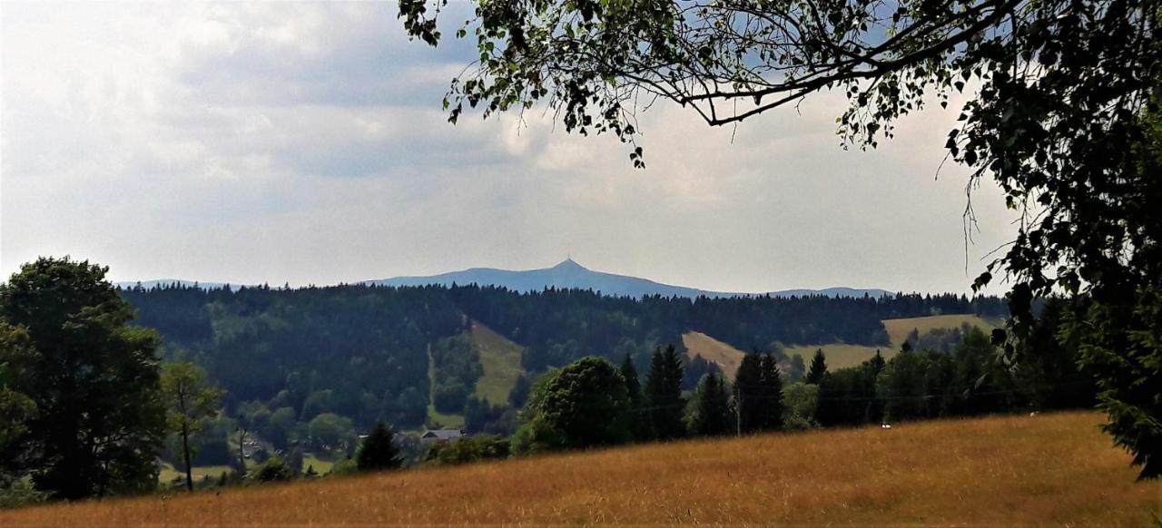 Apartman Na Kraji Lesa Janov nad Nisou Buitenkant foto