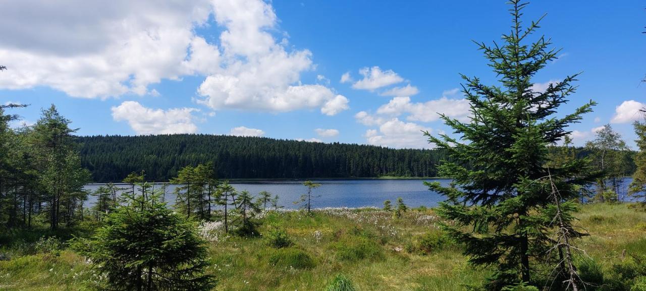 Apartman Na Kraji Lesa Janov nad Nisou Buitenkant foto