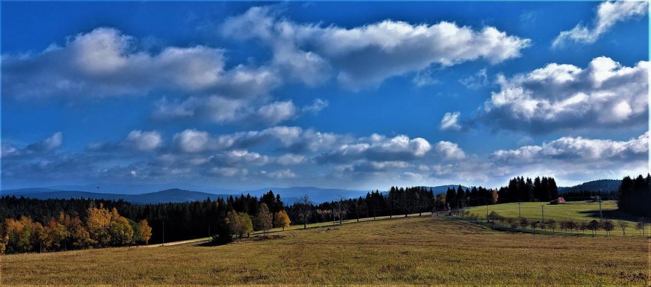 Apartman Na Kraji Lesa Janov nad Nisou Buitenkant foto