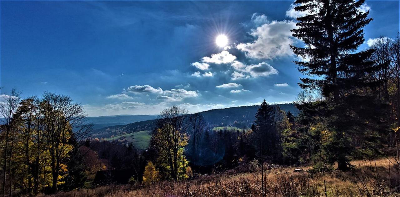 Apartman Na Kraji Lesa Janov nad Nisou Buitenkant foto