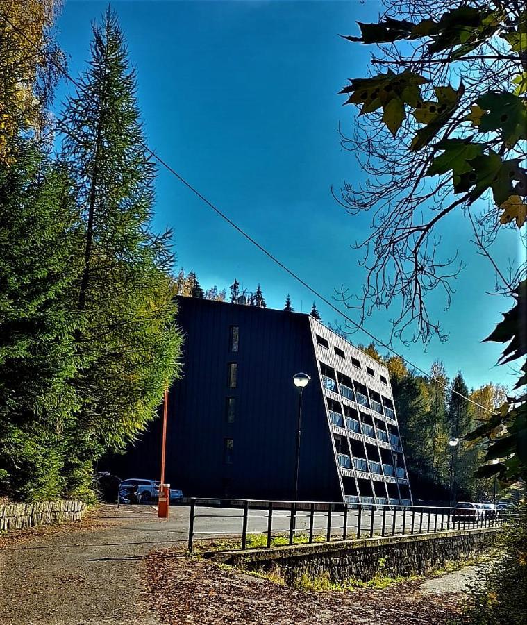 Apartman Na Kraji Lesa Janov nad Nisou Buitenkant foto