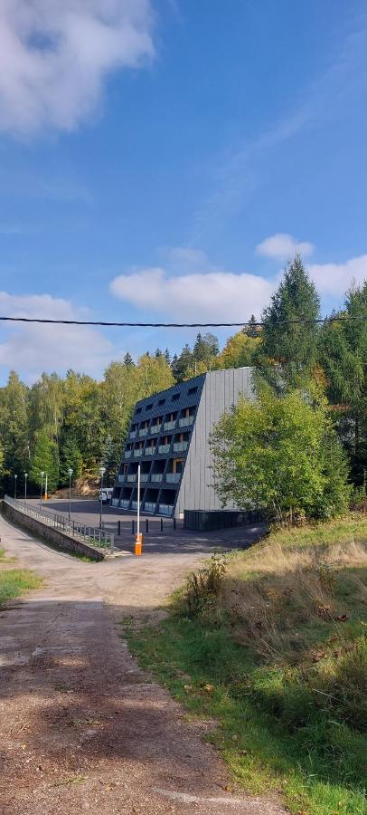 Apartman Na Kraji Lesa Janov nad Nisou Buitenkant foto