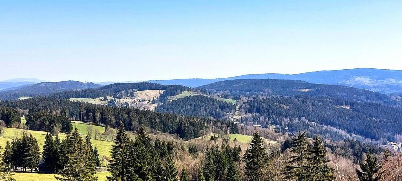 Apartman Na Kraji Lesa Janov nad Nisou Buitenkant foto