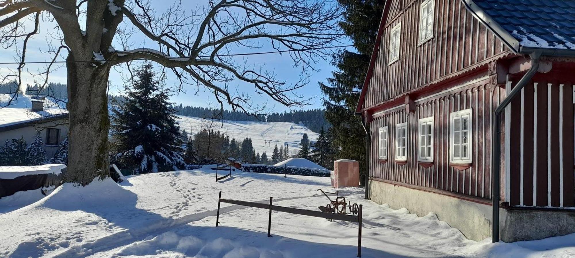 Apartman Na Kraji Lesa Janov nad Nisou Buitenkant foto