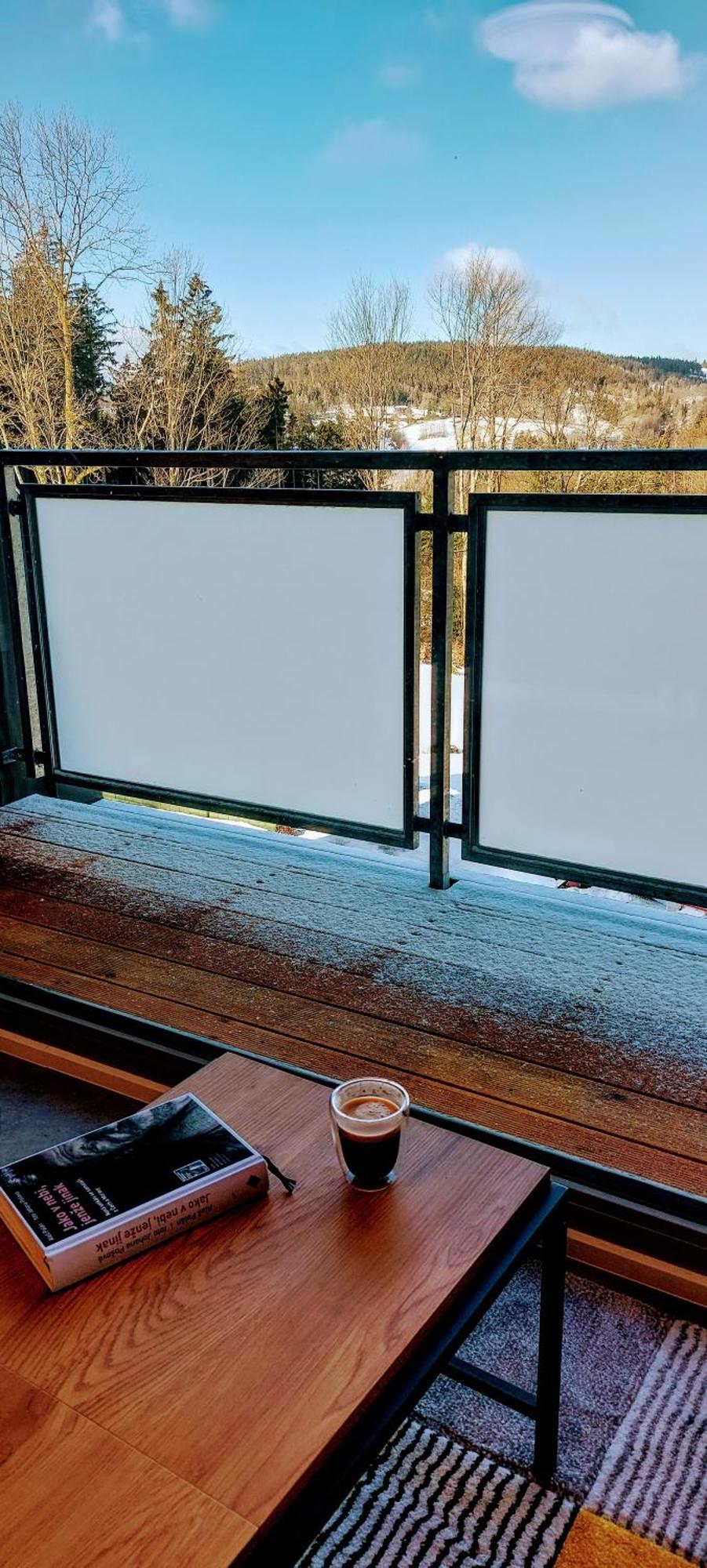Apartman Na Kraji Lesa Janov nad Nisou Buitenkant foto