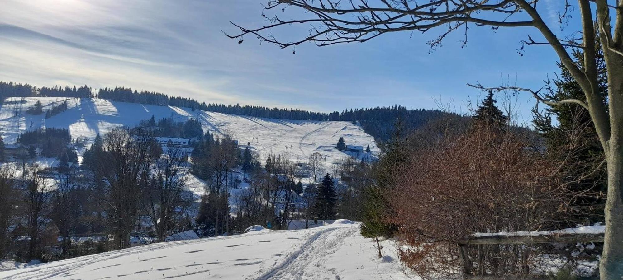 Apartman Na Kraji Lesa Janov nad Nisou Buitenkant foto