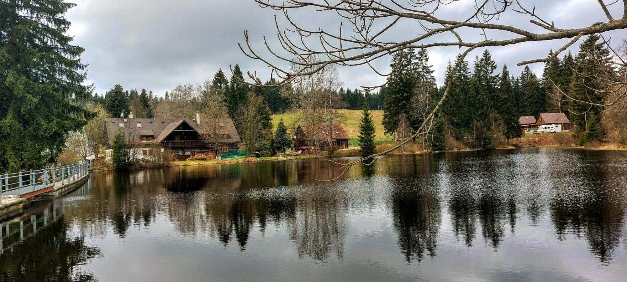 Apartman Na Kraji Lesa Janov nad Nisou Buitenkant foto