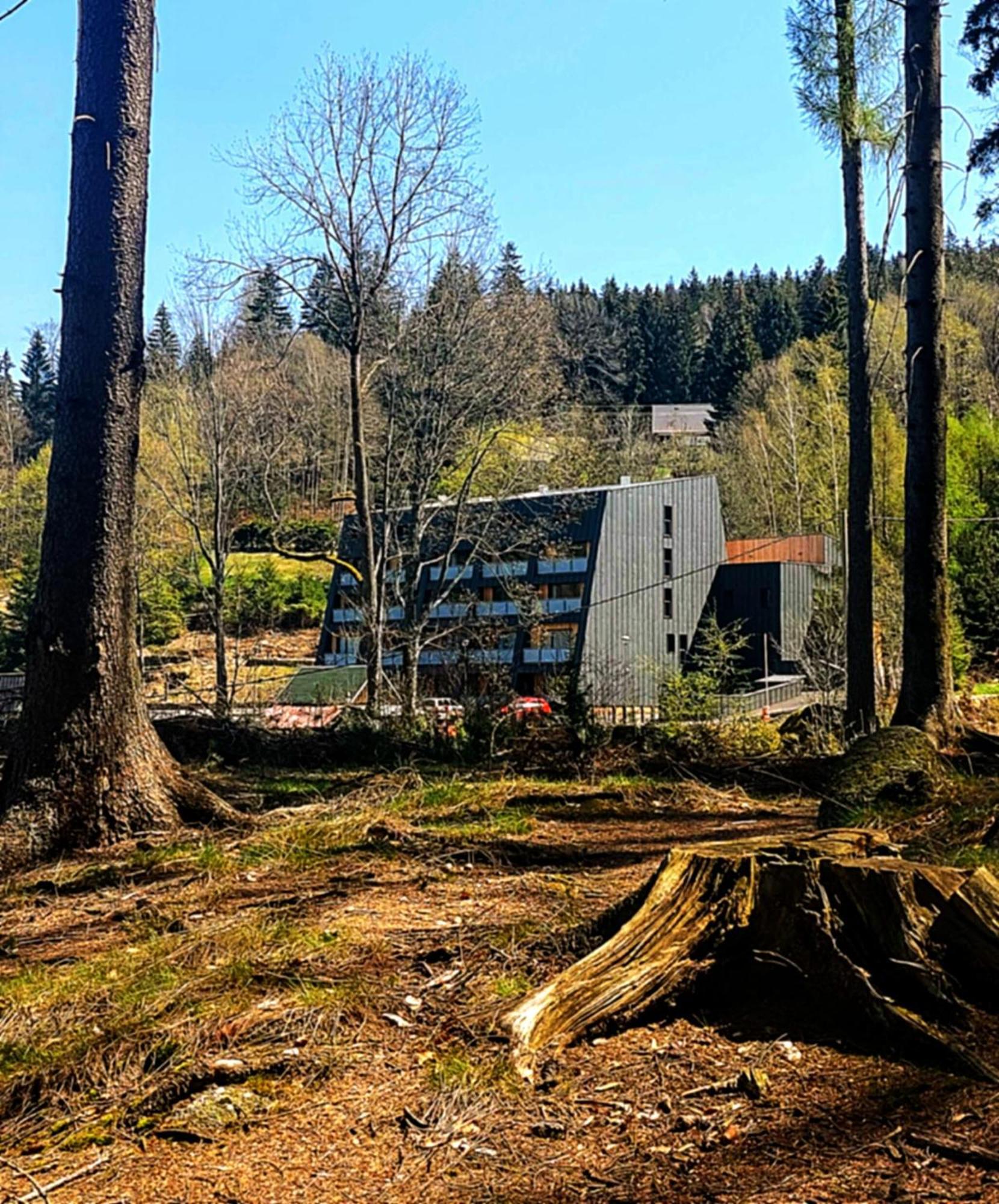 Apartman Na Kraji Lesa Janov nad Nisou Buitenkant foto