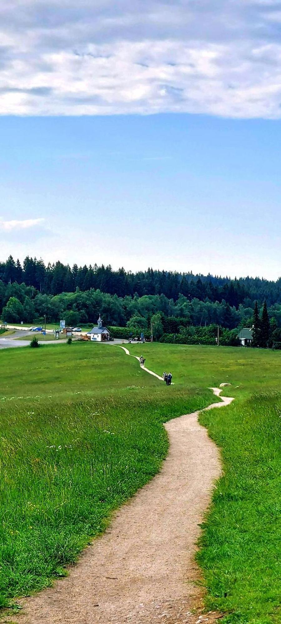 Apartman Na Kraji Lesa Janov nad Nisou Buitenkant foto
