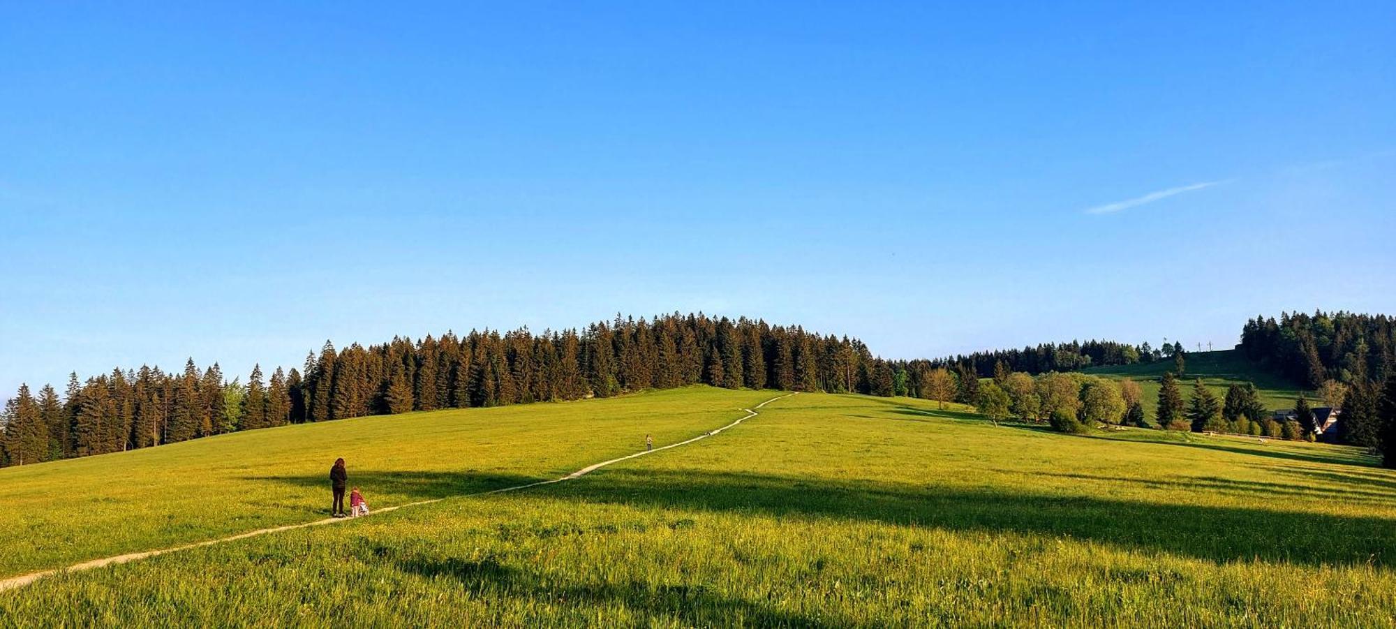 Apartman Na Kraji Lesa Janov nad Nisou Buitenkant foto