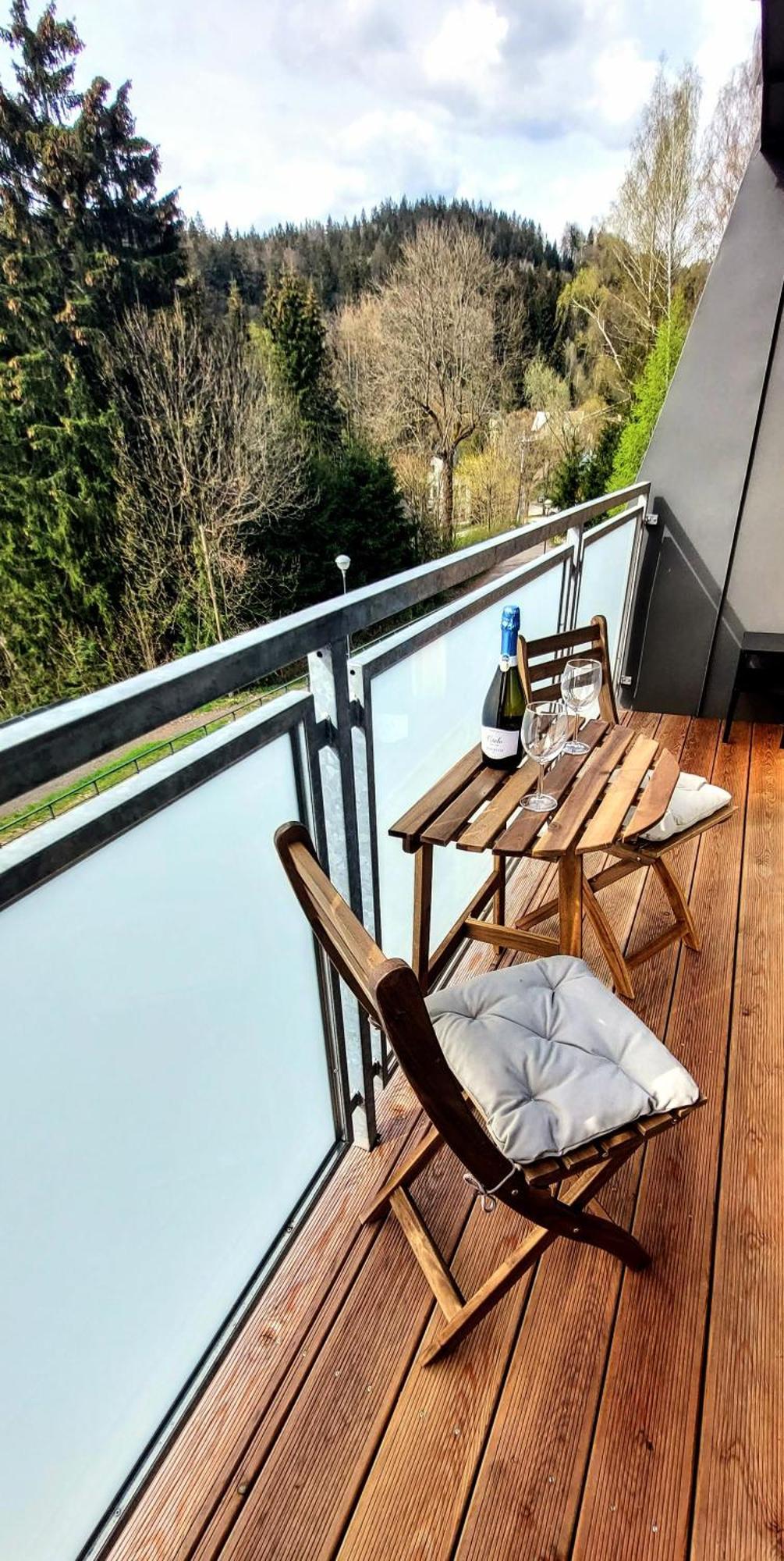 Apartman Na Kraji Lesa Janov nad Nisou Buitenkant foto