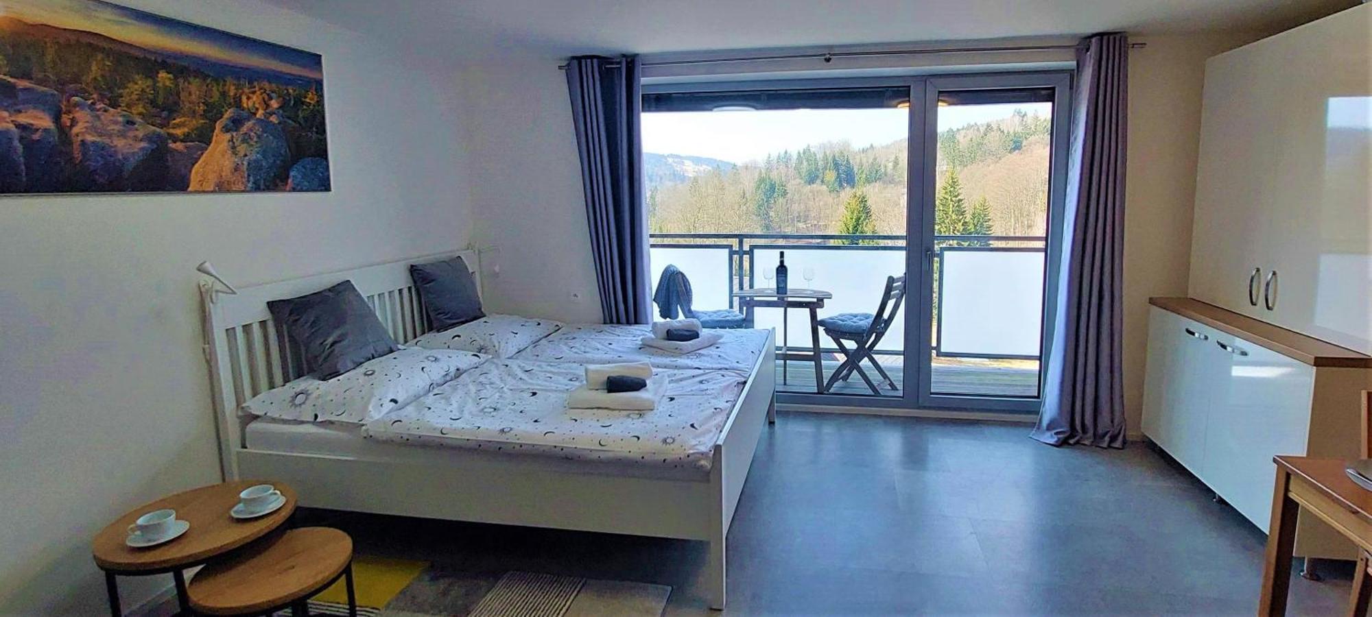 Apartman Na Kraji Lesa Janov nad Nisou Buitenkant foto