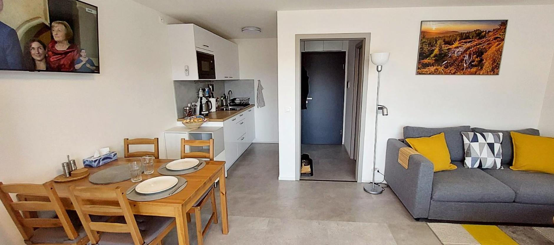 Apartman Na Kraji Lesa Janov nad Nisou Buitenkant foto